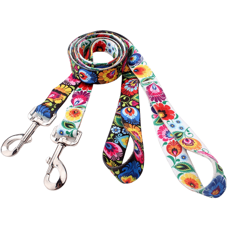 Custom dog leash with multi coloured heat transfer logo.