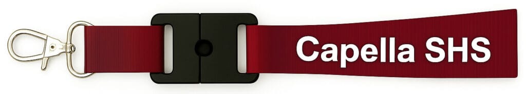 Plastic Lanyard Clips & Safety Buckles in Bulk | QW Direct