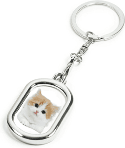 MPFK-021a rectangular metal photo frame keyring which is shown with a photo of a cat inserted inside.