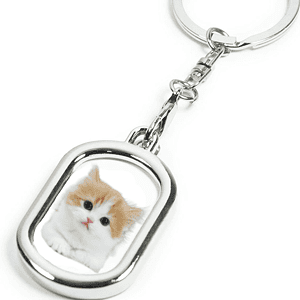 MPFK-021a rectangular metal photo frame keyring which is shown with a photo of a cat inserted inside.